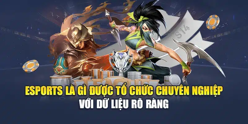 Esports là gì được tổ chức chuyên nghiệp với dữ liệu rõ ràng