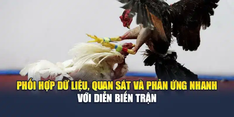Phối hợp dữ liệu, quan sát và phản ứng nhanh với diễn biến trận