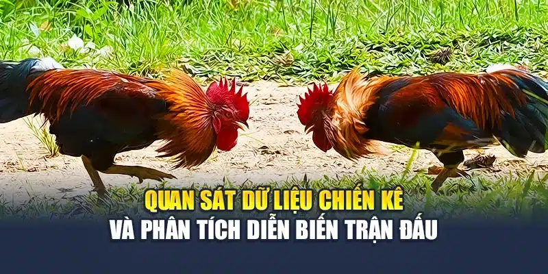 Quan sát dữ liệu chiến kê và phân tích diễn biến trận đấu