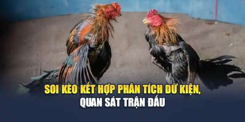 Soi kèo kết hợp phân tích dữ kiện, quan sát trận đấu