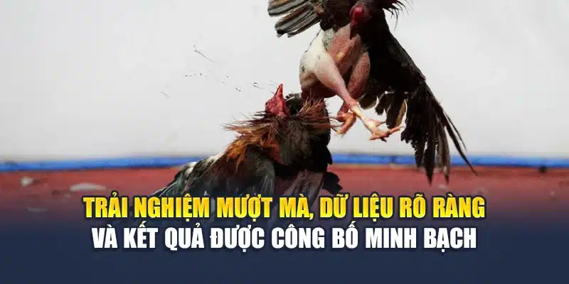 Trải nghiệm mượt mà, dữ liệu rõ ràng và kết quả được công bố minh bạch