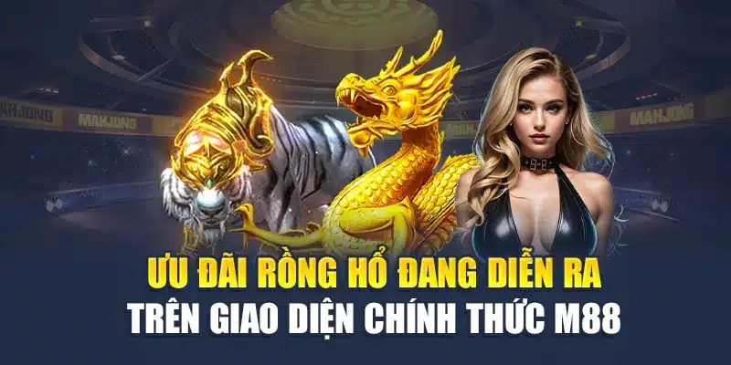 Ưu đãi Rồng Hổ đang diễn ra trên giao diện chính thức M88
